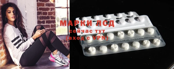 твердый Вязьма