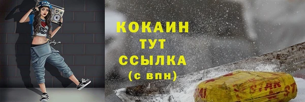 твердый Вязьма
